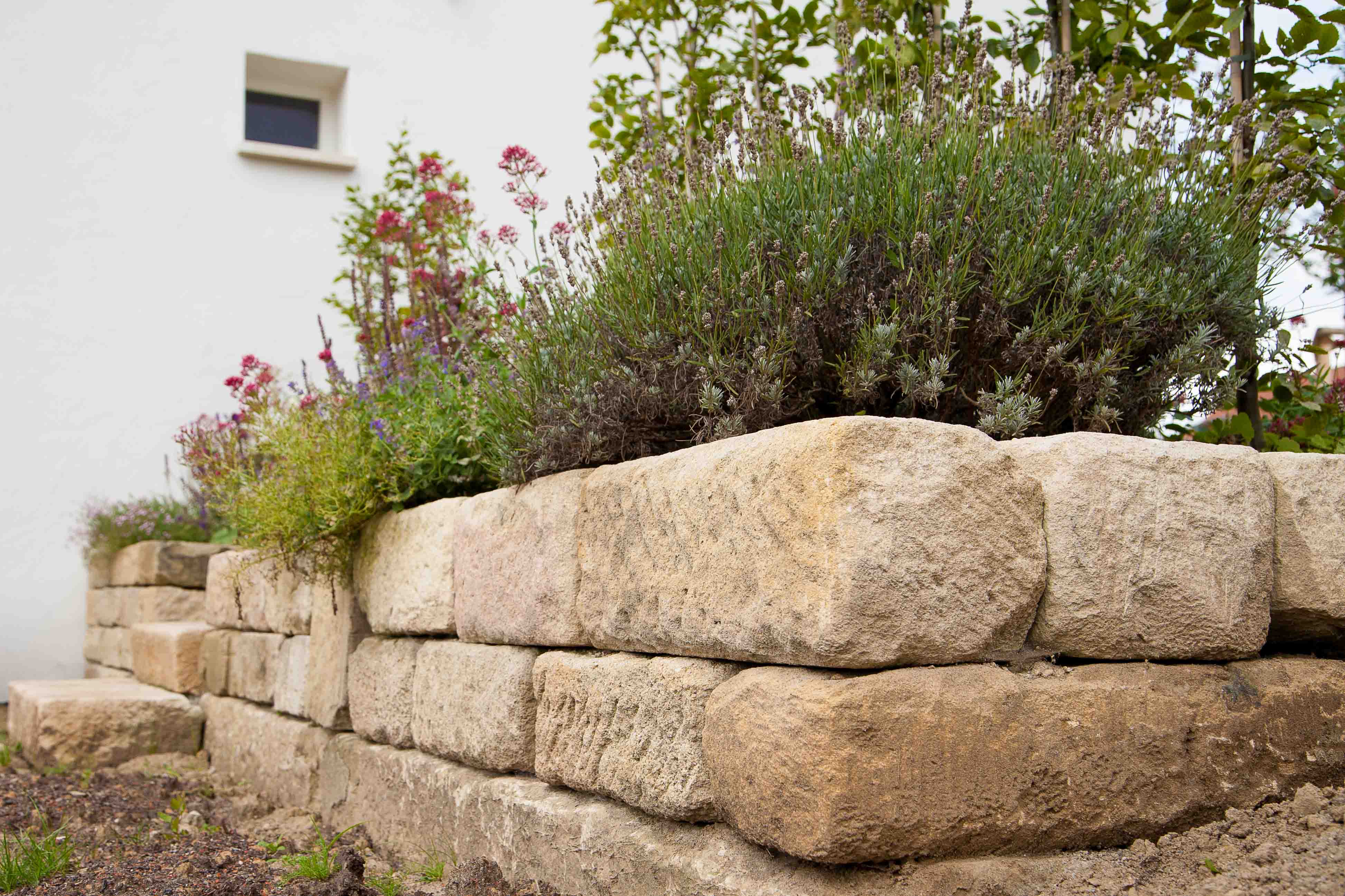 Oliver Baur | mediterane Natursteinmauer, Lavendel